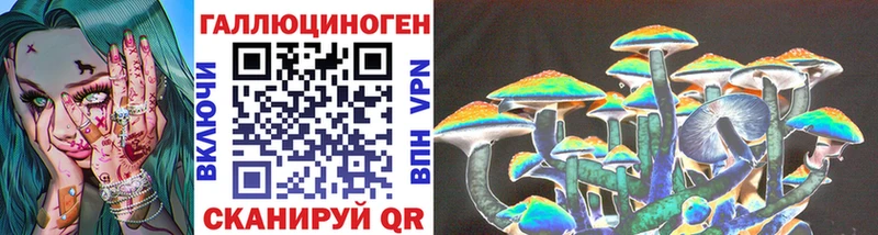 Псилоцибиновые грибы Cubensis  магазин продажи наркотиков  Кувандык 
